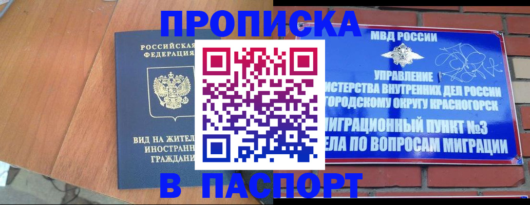 найти адрес прописки в Сасово